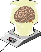 brain in a jar